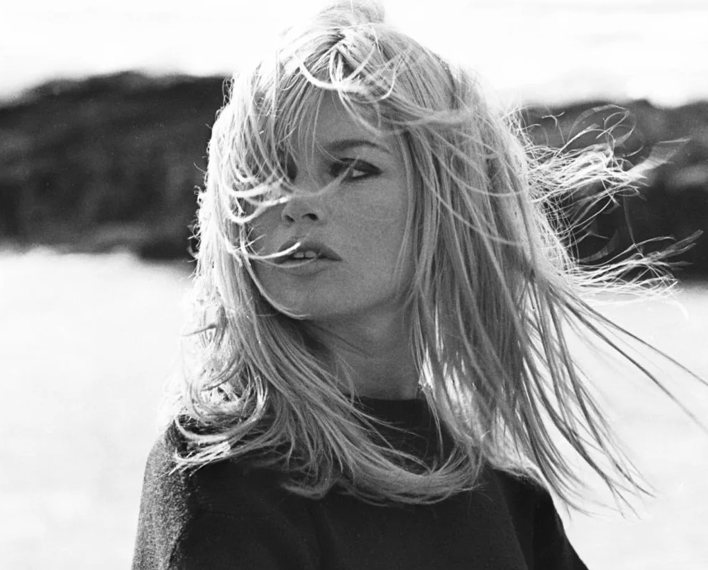 Notizie dalla Costa Azzurra Lunedì 21 agosto: Brigitte Bardot stupita che ci sia ancora interesse per la sua vita - Allerta Inquinamento atmosferico